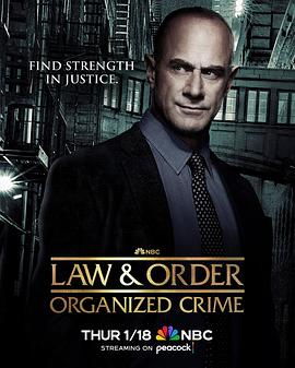 法律与秩序：组织犯罪第四季第09集